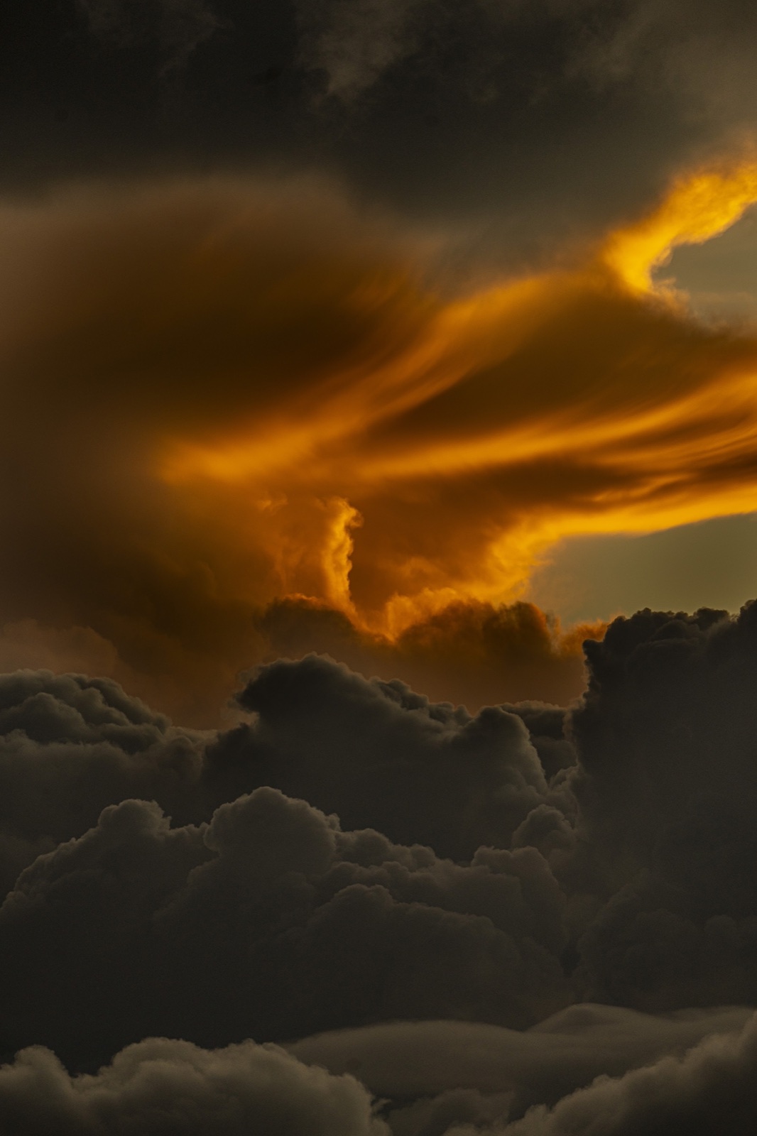 Lenticular cloud at dusk