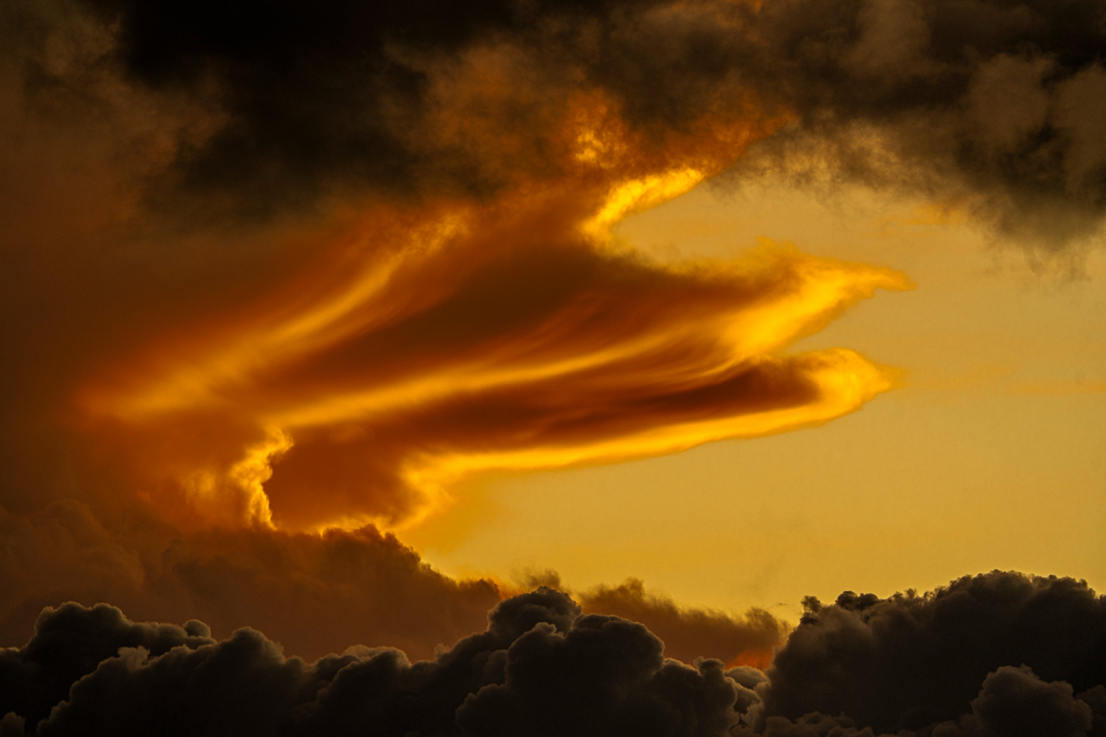 Evening cloud