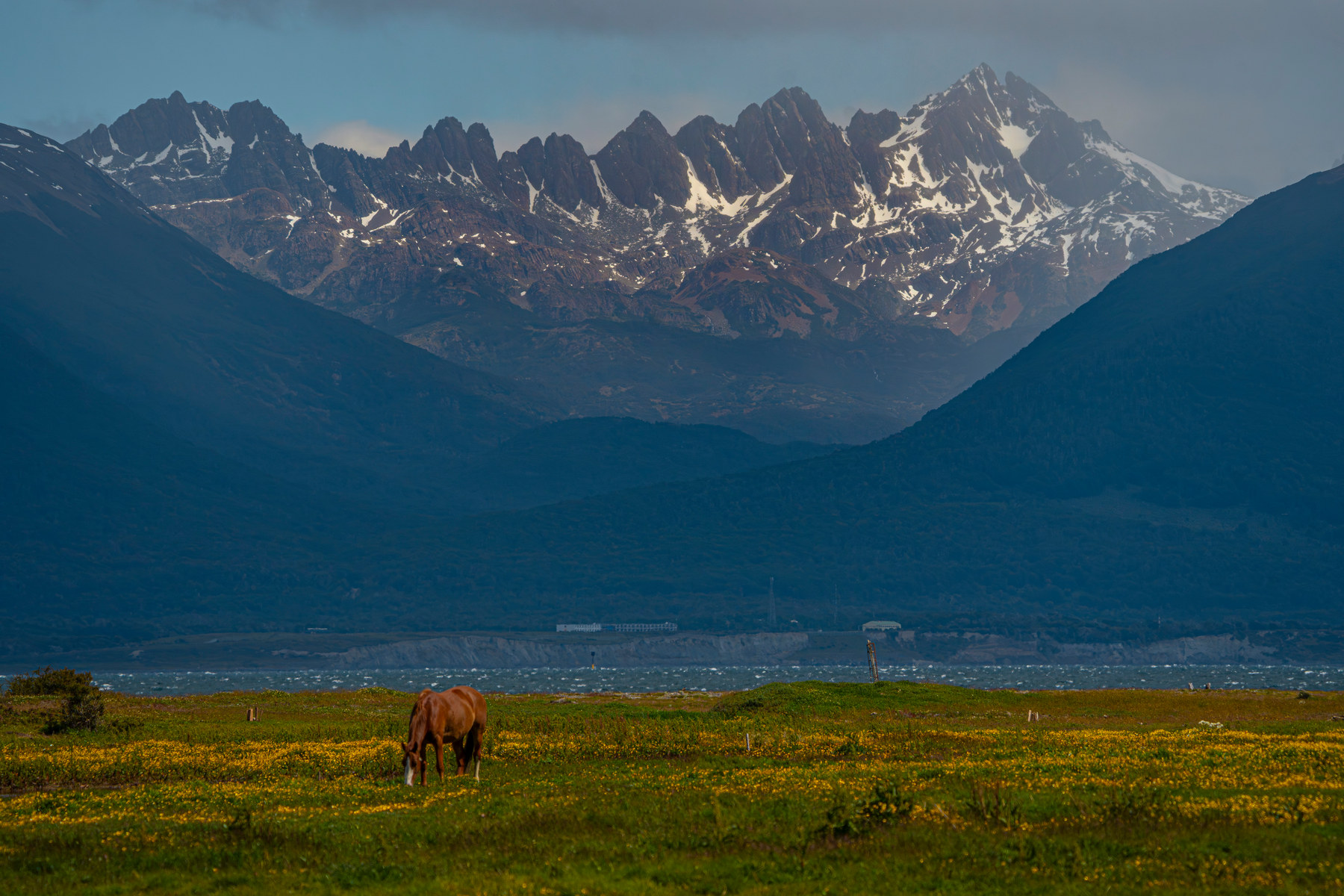 The sierra above the town, one horse in the last of the grass