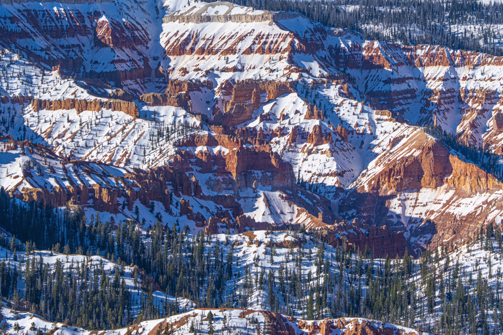 Hoodoos under snow
